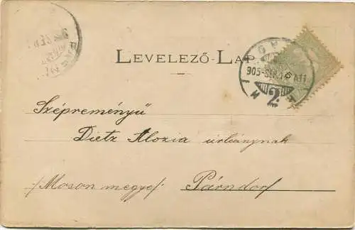 Üdvözlet Györ - Kiraly-utcza a Szechenyi-terröl gel. 1905