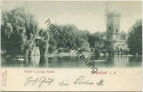 Frankfurt a. M. - Weiher im Zoologischen Garten - Verlag M. Klement Frankfurt gel. 1899