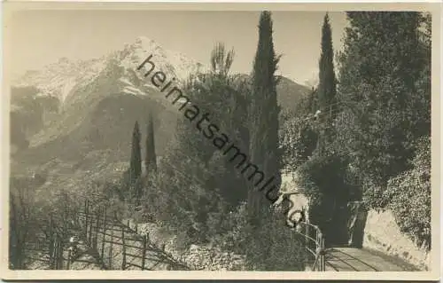 Meran - Passeggiata Tappeiner - Foto-AK 20er Jahre - Verlag Leo Baehrendt Merano