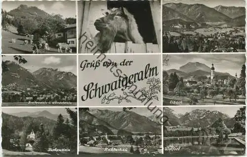 Fischbachau - Elbach - Schwaigeralm - Foto-AK - Verlag Lotte Susemihl Neuhaus