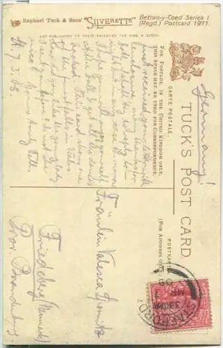 Bettws-y-Coed - Swallow Falls - Verlag Raphael Tuck & Sons Silverette