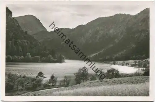 Thumsee bei Bad Reichenhall mit dem Ristfeichthorn - Foto-AK - Verlag Schöning & Co. Lübeck - Rückseite beschrieben 1953
