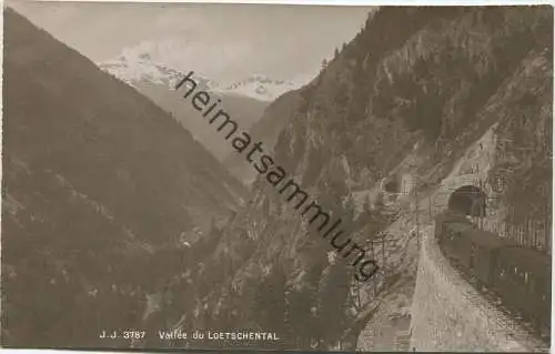 Vallee du Loetschental - Foto-AK - Edition Jullien freres Geneve