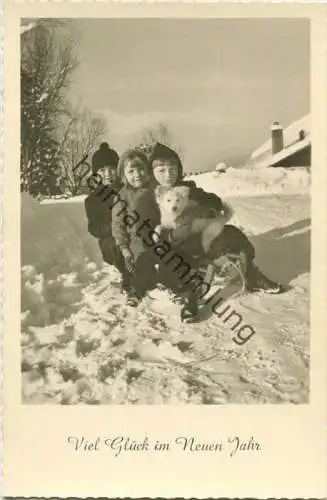 Kinder im Schnee - Schlitten - Hund - Foto-AK - Verlag Amag