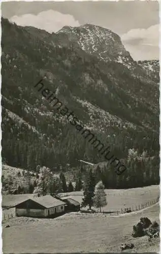 Wirtsalm bei Feilnbach - Foto-AK - Verlag Peter Triem Eichenau gel. 1962