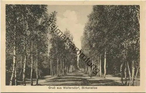 Woltersdorf - Birkenallee - Verlag H. Wiesebach Berlin ca. 1930
