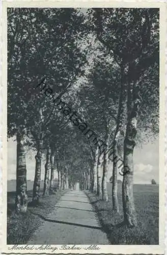 Bad Aibling - Birken-Allee - Verlag Lothar Offner Aibling