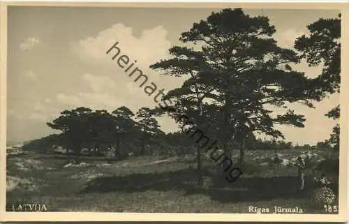 Riga Jurmala - Foto-AK 20er Jahre