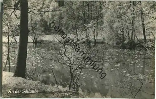 Schlaubetal - Schlaube - Foto-Ansichtskarte 50er Jahre - Verlag H. Sandner KG Berlin