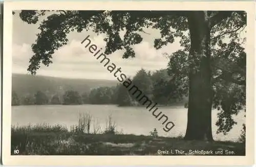 Greiz - Schlosspark - See - Foto-Ansichtskarte - Verlag Trinks & Co Leipzig