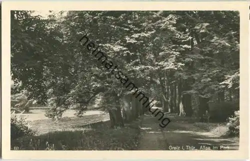 Greiz - Allee im Park - Foto-Ansichtskarte - Verlag Trinks & Co Leipzig