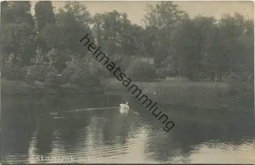 Kemeri Kemmern - Park - Foto-AK gel. 1911
