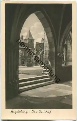 Magdeburg - Dom - Domhof - Foto-Ansichtskarte - Verlag Gebr. Garloff Magdeburg