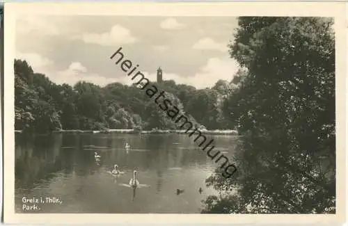 Greiz - Parksee - Foto-Ansichtskarte - Verlag Trinks & Co Leipzig