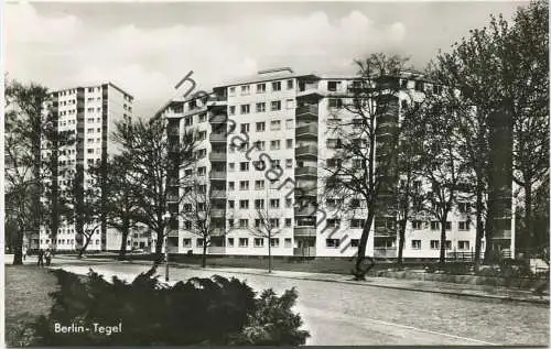 Berlin - Tegel - Neptun und Nixe - Foto-AK - Verlag Herbert Meyerheim Berlin