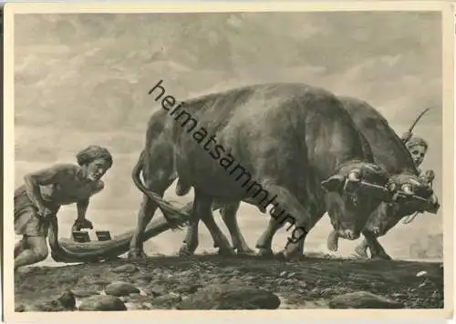 HDK562 - Germanische Urbarmachung in den Ostlanden - F. Staeger - Verlag Photo Hoffmann München