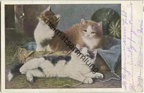 Drei Katzen - Feldpost
