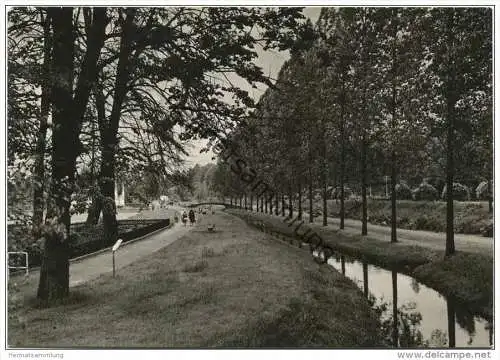 Neukirchen Knüllgebirge - Kurpark an der Grenff - Foto-AK Grossformat 60er Jahre