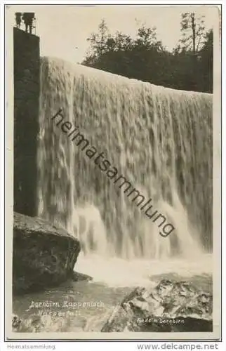 Dornbirn - Rappenloch - Wasserfall - Foto-AK