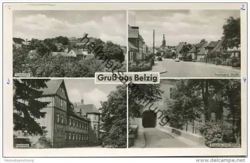 Belzig - Teilansicht - Niemegker Strasse - Heilstätte - Foto-AK