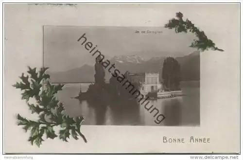 Ile de Salagnon - Bonne Annee - Neujahrskarte