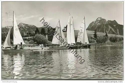 Am Hopfensee mit Tegelberg und Säuling - Foto-AK