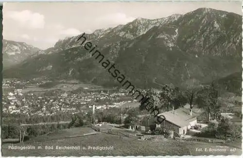 Padingeralm - Foto-AK