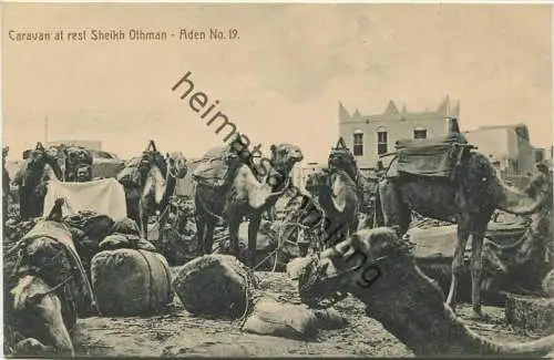 Aden - Caravan at rest Sheikh Othman