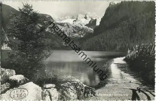 Gosausee mit Dachstein Foto-AK