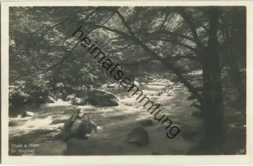 Thale - Bodetal - Foto-Ansichtskarte - Verlag Hermann Leiste Thale