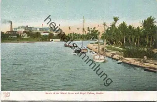 Florida - Mouth of the Miami River and Royal Palms - Edition H. C. Leighton Co. Portland Me. 1904