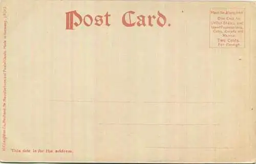 Florida - Palm Beach - Cactus on the Craignan Place - Edition H. C. Leighton Co. Portland Me. 1904