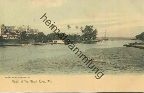 Florida - Mouth of the Miami River - Edition The Rotograph Co. N. Y. City 1904