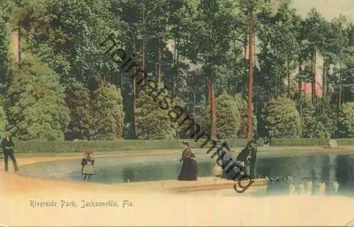 Florida - Jacksonville - Riverside Park - Edition The Rotograph Co. N. Y. City 1904