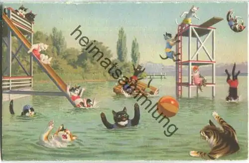 Vermenschlichte Katzen - Im Schwimmbad - No. 4695 Edition Max Künzli Zürich 6