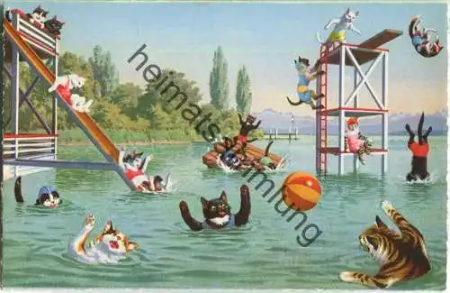 Vermenschlichte Katzen - Im Schwimmbad - No. 4695 Edition Max Künzli Zürich 6