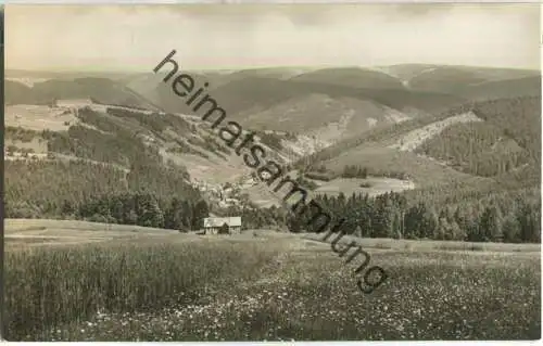 Meuselbach-Schwarzmühle - Mellenbachgrund - Foto-Ansichtskarte - Verlag VEB Bild und Heimat Reichenbach