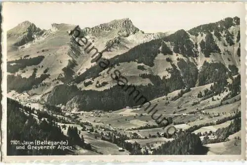 Jaun - Bellegarde - Greyerzer Alpen - Foto-Ansichtskarte - Verlag E. Fleuti-Graa Bazar Jaunpass