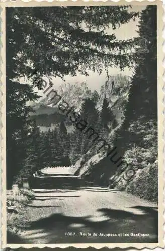 Route du Jaunpass et les Gastlosen - Foto-Ansichtskarte - Edition Photo Metzger Lausanne