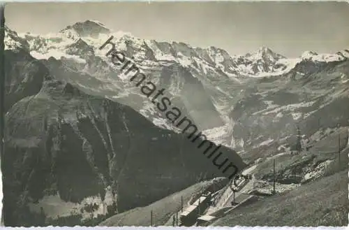 Schynige Platte - Jungfrau Grosshorn Breithorn - Foto-Ansichtskarte - Verlag Walter Schild Interlaken