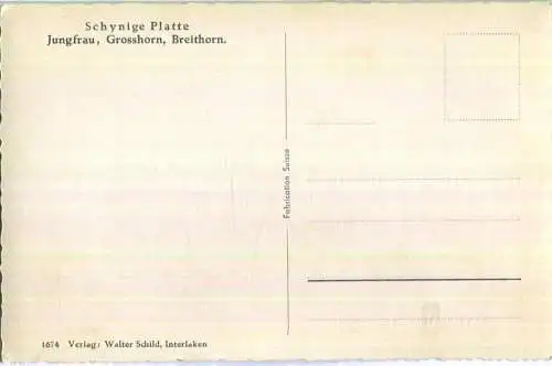 Schynige Platte - Jungfrau Grosshorn Breithorn - Foto-Ansichtskarte - Verlag Walter Schild Interlaken