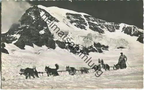 Schlittenfahrt mit Polarhunden auf Jungfraujoch - Mönch - Verlag E. Gyger Adelboden 30er Jahre