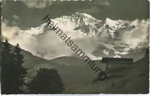 Die Jungfrau im Abendlicht - Foto-Ansichtskarte - Verlag E. Gyger Adelboden 30er Jahre