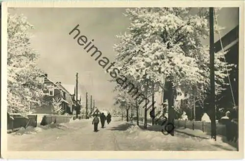 Frauenwald - Foto-Ansichtskarte - Verlag Straub & Fischer Meiningen 50er Jahre