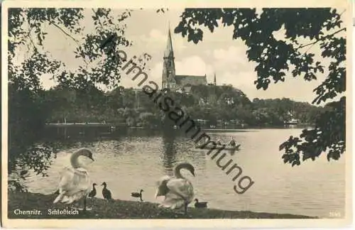 Chemnitz - Schlossteich - Foto-Ansichtskarte - Verlag Erhard Neubert Chemnitz