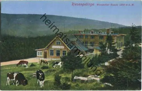 Riesengebirge - Wossecker Baude - Verlag Männich & Höckendorf Hirschberg