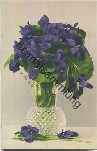 Veilchen in der Kristallvase - Verlag Martin Rommel & Co. Stuttgart 1908