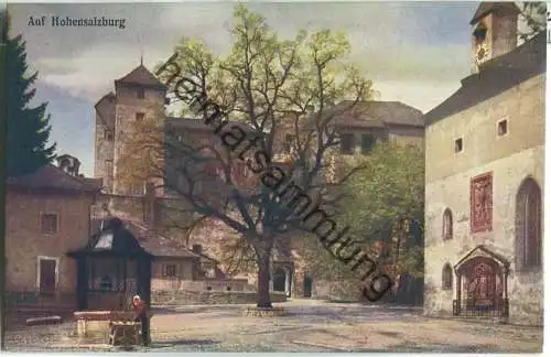 Auf Hohensalzburg - Schlosslinde und Zisterne - Farbige Naturaufnahme Verlag J. Huttegger Salzburg