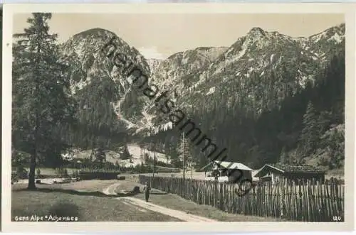 Gern Alpe am Achensee - Foto-Ansichtskarte - Verlag C. Lindpaintner Innsbruck