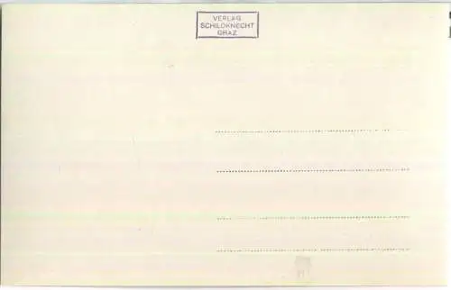 Trauneralpe gegen Wiesbachhorn - Foto-Ansichtskarte - Verlag Schildknecht Graz